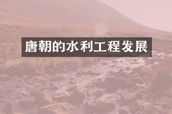 唐朝的水利工程发展
