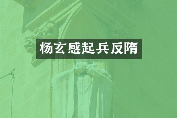 杨玄感起兵反隋
