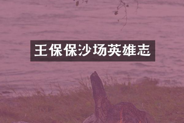 王保保沙场英雄志