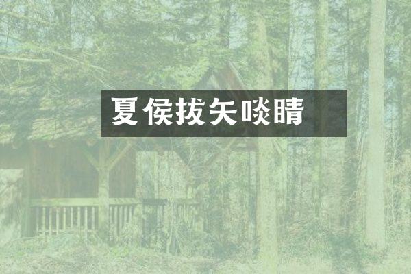 夏侯惇拔矢啖睛