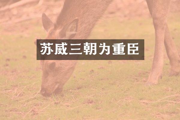 苏威三朝为重臣