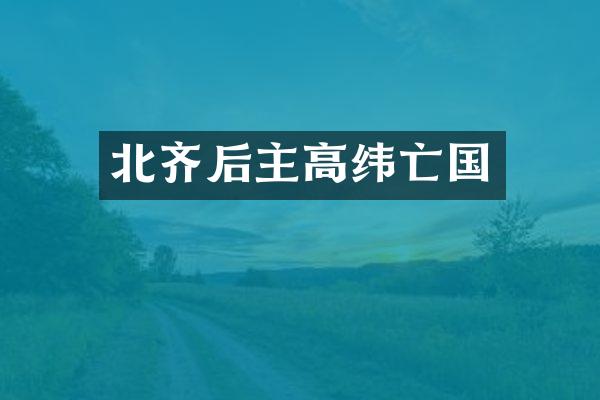 北齐后主高纬亡国