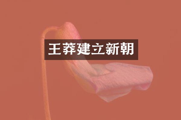 王莽建立新朝