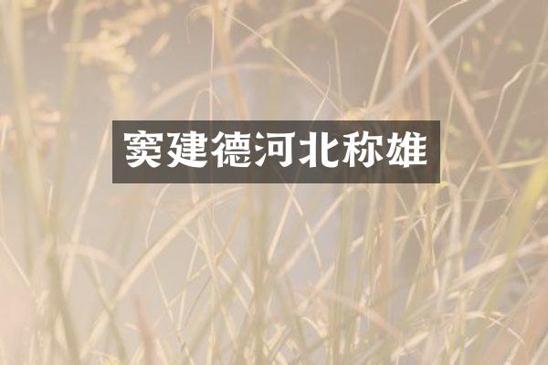 窦建德河北称雄