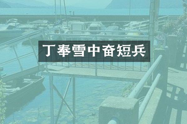 丁奉雪中奋短兵