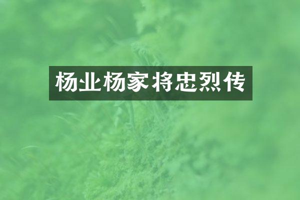 杨业杨家将忠烈传