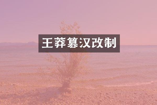 王莽篡汉改制
