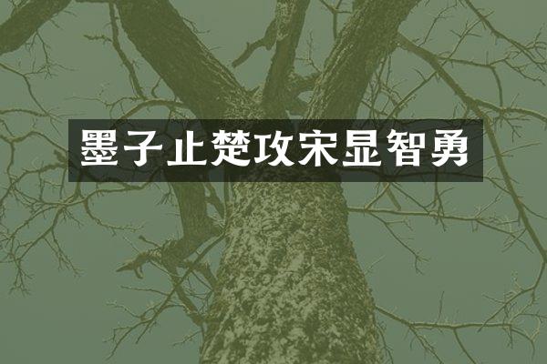 墨子止楚攻宋显智勇