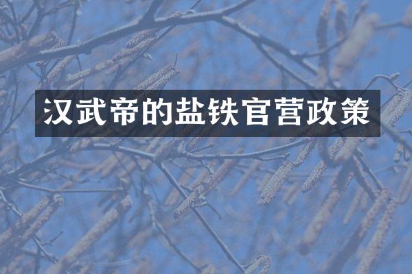 汉武帝的盐铁官营政策