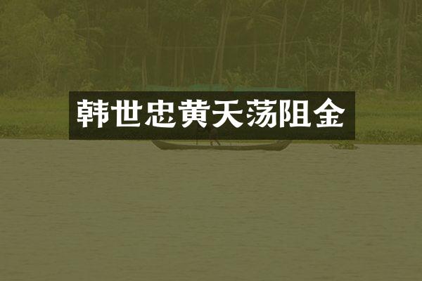 韩世忠黄天荡阻金