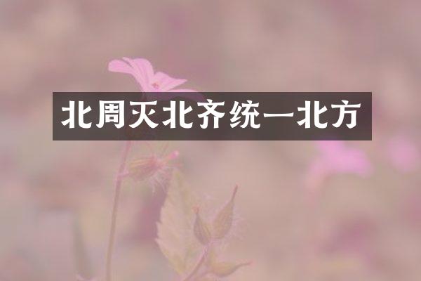 北周灭北齐统一北方
