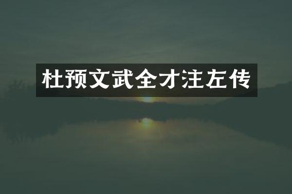 杜预文武全才注左传
