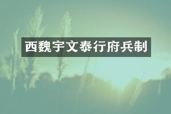 西魏宇文泰行府兵制