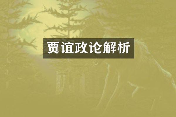 贾谊政论解析