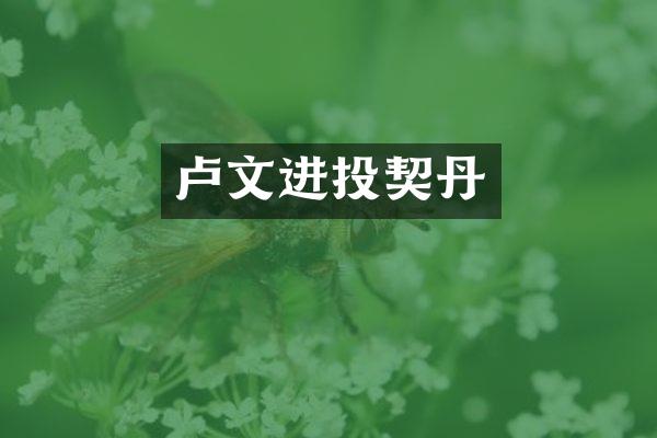 卢文进投契丹