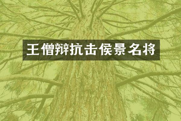 王僧辩抗击侯景名将