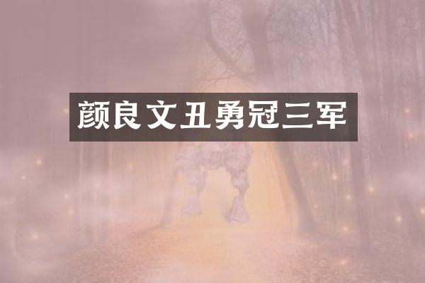 颜良文丑勇冠三军