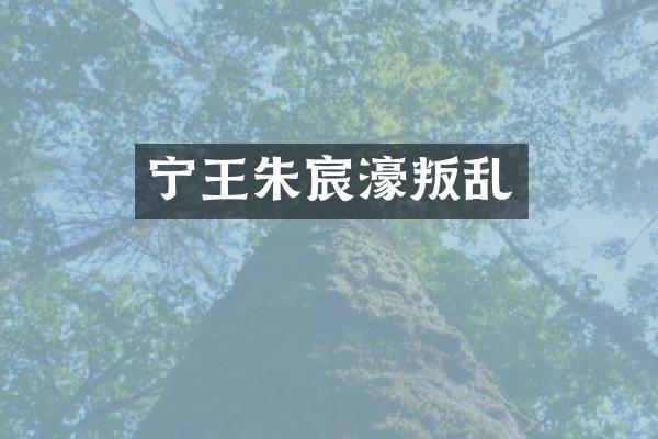 宁王朱宸濠叛乱
