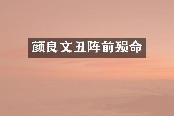 颜良文丑阵前殒命