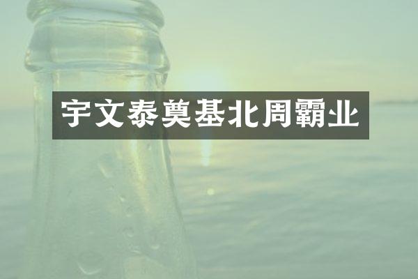 宇文泰奠基北周霸业