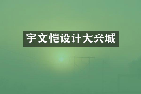宇文恺设计大兴城