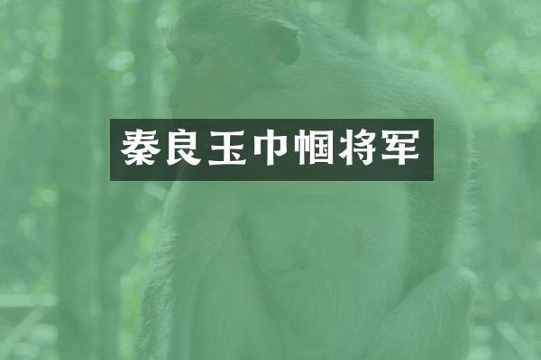 秦良玉巾帼将军