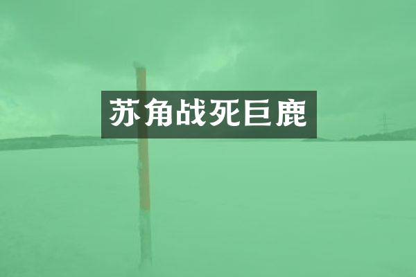 苏角战死巨鹿