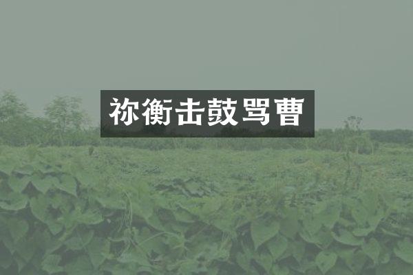 祢衡击鼓骂曹