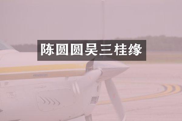 陈圆圆吴三桂缘
