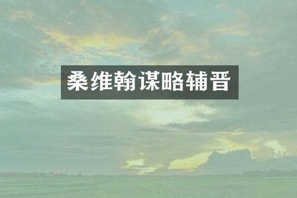 桑维翰谋略辅晋