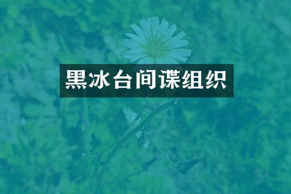 黑冰台间谍组织
