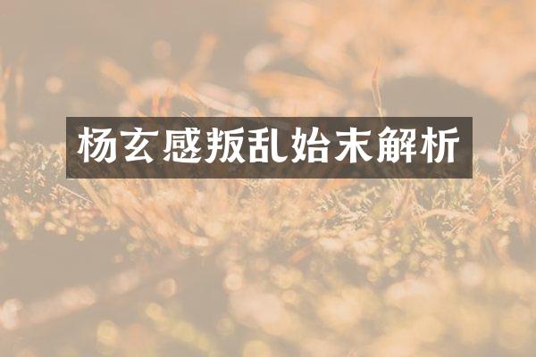 杨玄感叛乱始末解析