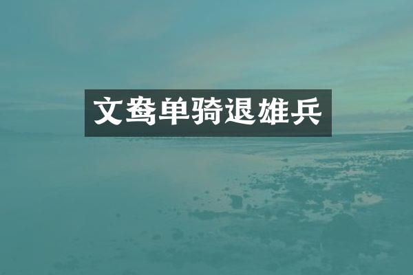 文鸯单骑退雄兵