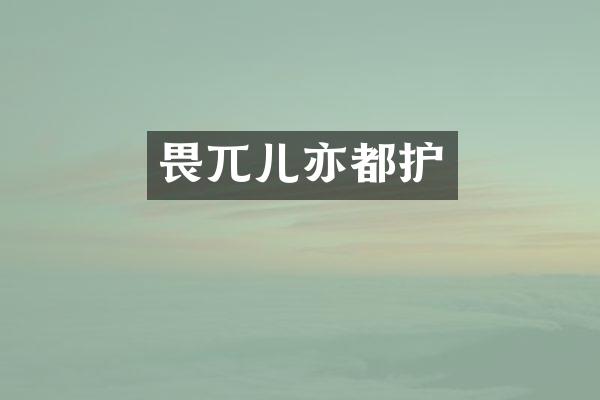 畏兀儿亦都护
