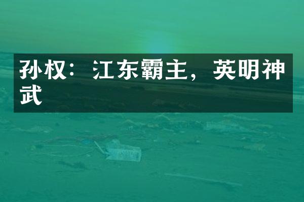 孙权：江东霸主，英明神武