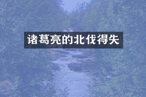 诸葛亮的北伐得失