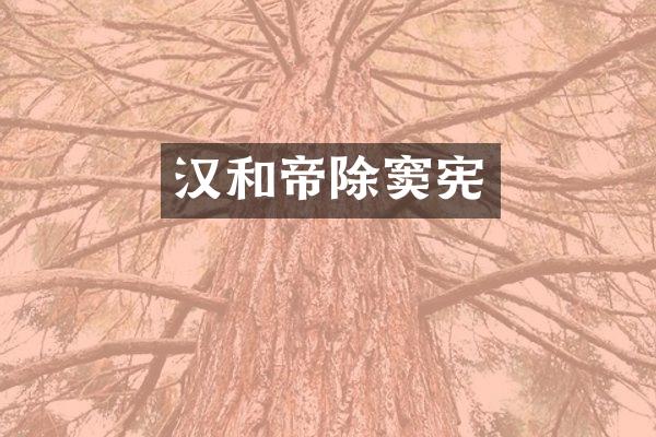 汉和帝除窦宪