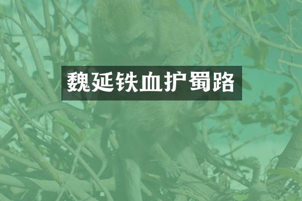 魏延铁血护蜀路