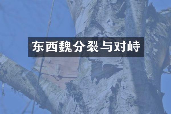 东西魏分裂与对峙