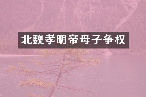北魏孝明帝母子争权