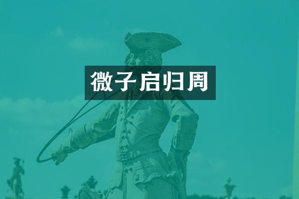 微子启归周