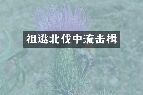 祖逖北伐中流击楫