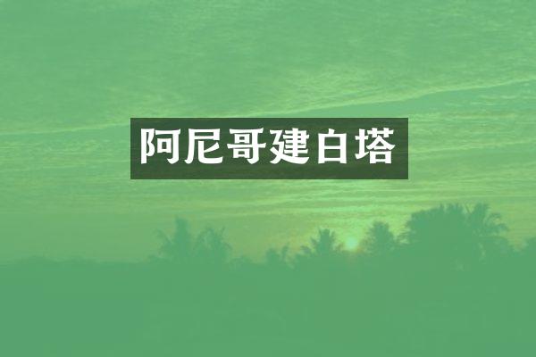 阿尼哥建白塔
