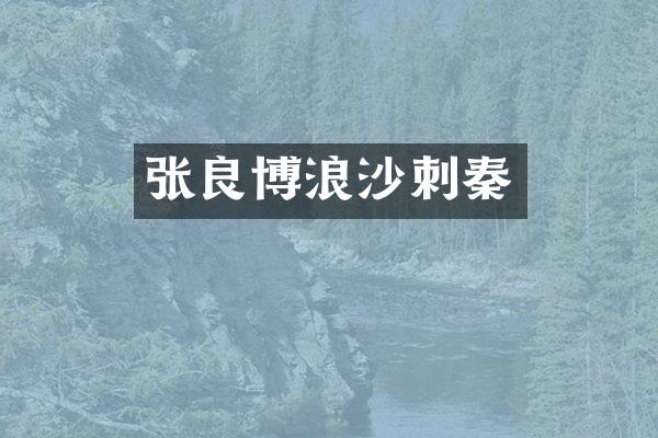张良博浪沙刺秦