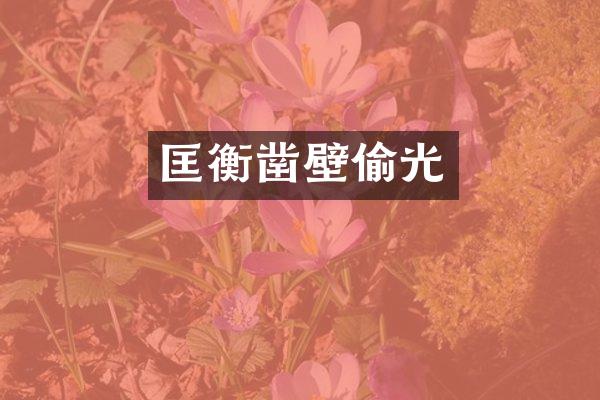 匡衡凿壁偷光