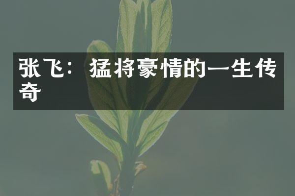 张飞：猛将豪情的一生传奇