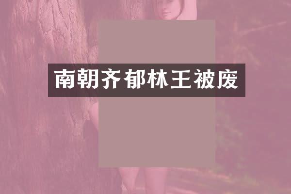 南朝齐郁林王被废