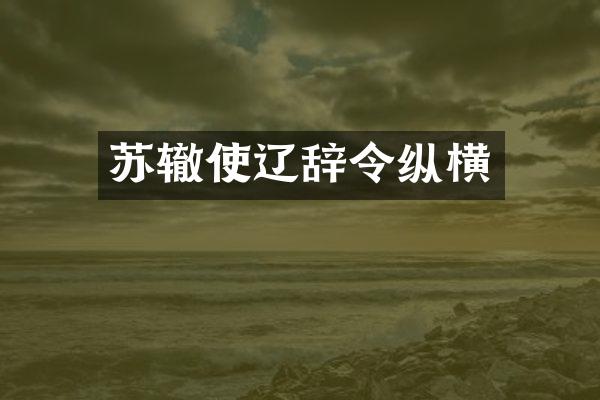 苏辙使辽辞令纵横