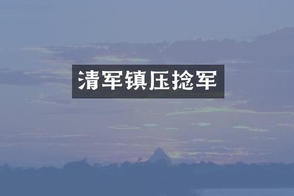 清军镇压捻军