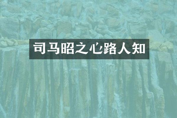 司马昭之心路人知